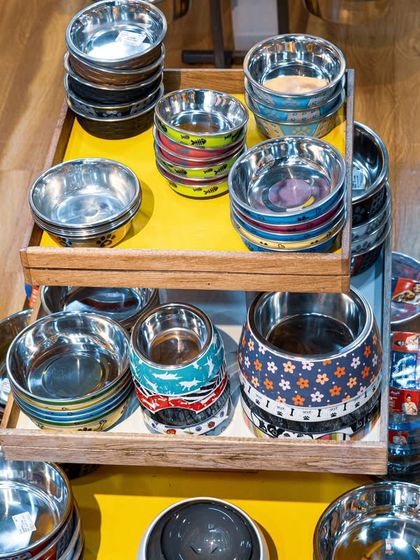 Mealtime just got a makeover. I have a huge collection of pet food bowls in various colors and patterns to match your home decor and your pet's personality.