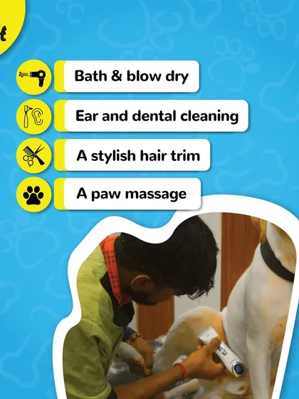 Our winter grooming package includes a bath and blow dry, ear and dental cleaning, a stylish trim, and a paw massage.