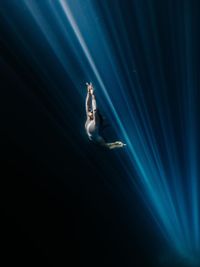 Underwater & Fine Art Photography