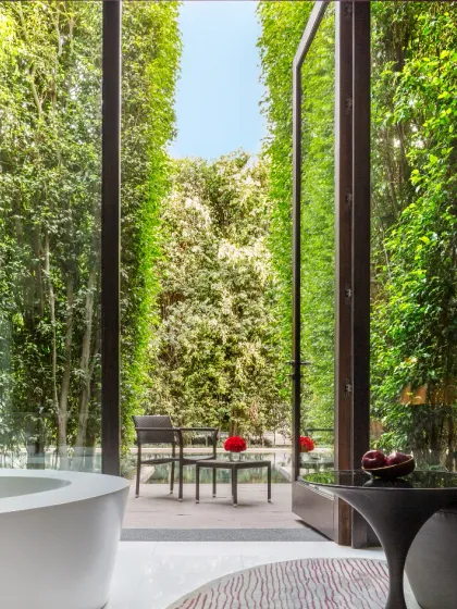 Many of our suites open up to private green spaces. This connection to nature, with walls of living plants, is central to the calming experience we offer.