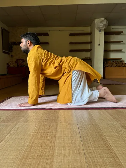 Here, in the 'Cow' part of the Cat-Cow flow, the gentle backbend opens the chest and abdomen. This improves circulation to the digestive organs, which is crucial for effective detoxification and weight management.