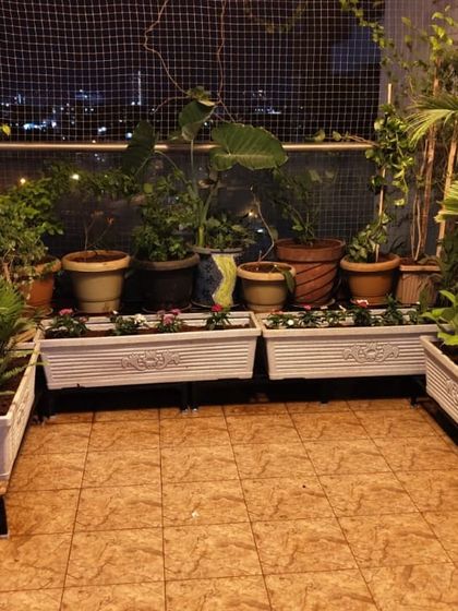 Sqft Farm - Organic & Vegetable Garden Setup Balcony & Terrace Transformations photo 3