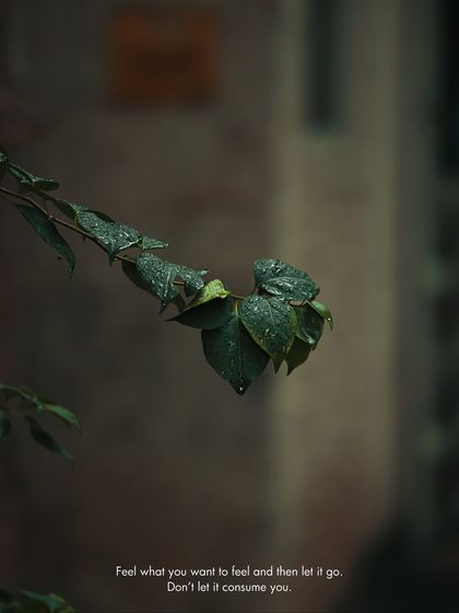 Garima Bhaskar - Photo & Video Editing Presets Aqua: Moody Blues & Greens for Travel photo 20