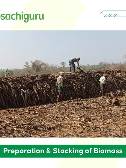 Preparing and stacking the collected biomass before it's converted into biochar. This is a crucial step in creating a high-quality, carbon-rich soil enhancer.