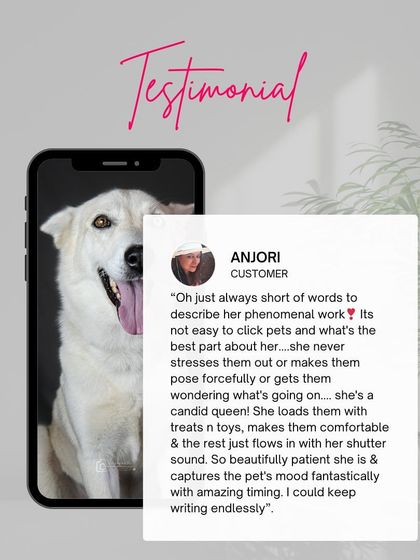 Anjori's kind words about my patient and candid approach, making pets feel comfortable and capturing their true mood.