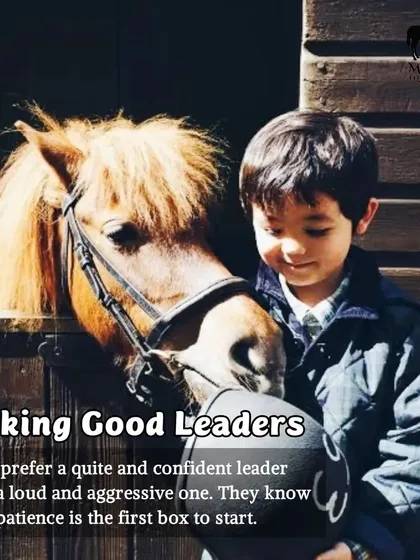This image of a child and a pony captures a core truth: good leaders are made, not born. Horses prefer a calm, confident presence, teaching us that patience and quiet strength are the foundations of true leadership.