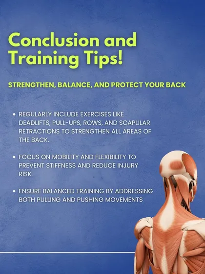 Conclusion and Training Tips for Back Health. This graphic provides actionable advice, such as including deadlifts, pull-ups, and rows in your routine and focusing on mobility to prevent stiffness.