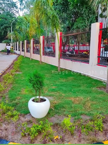 Lush Lawns & Garden Landscaping photo 7