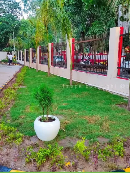 Simple yet effective landscaping along a fence, using fresh lawn and a single potted tree to create a clean, green border for this property.