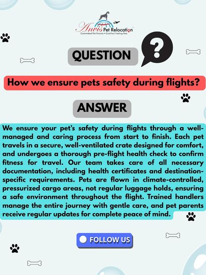 Anvis - Pet Relocation Preparing for Travel: Health, Safety & Documentation photo 18