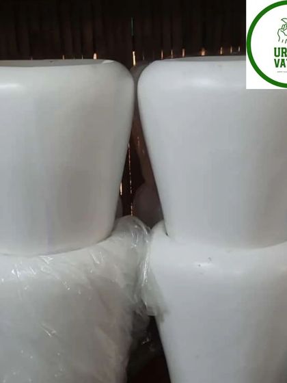 Large, square white plastic pots.