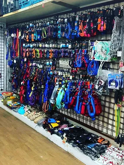 Get ready for walkies. We have an entire wall dedicated to high-quality leashes, colorful harnesses, and durable collars for dogs of all breeds and sizes.
