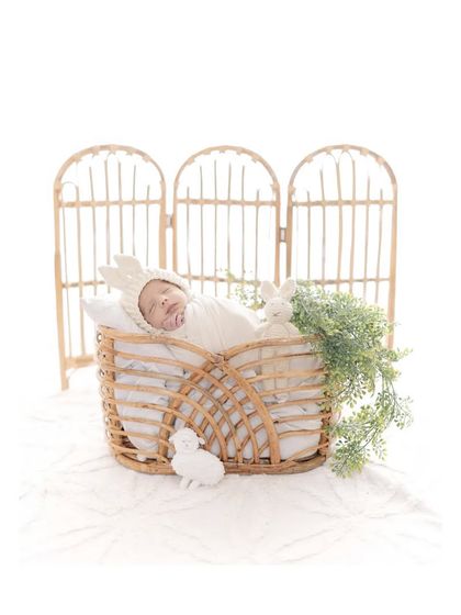 A newborn sleeps peacefully in a beautiful arched wicker basket, surrounded by simple, natural props. The composition is clean and serene, creating a timeless and artistic newborn portrait.