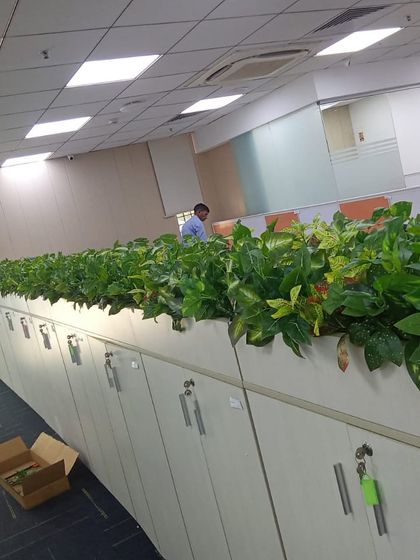 Green Solutions for Business Spaces photo 5