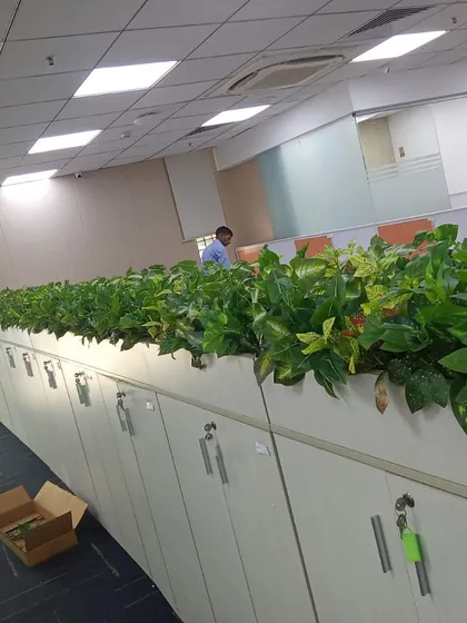 We used long planter boxes filled with leafy artificial plants to create natural-looking dividers on top of office cabinets. This adds greenery and a sense of privacy in an open-plan office.