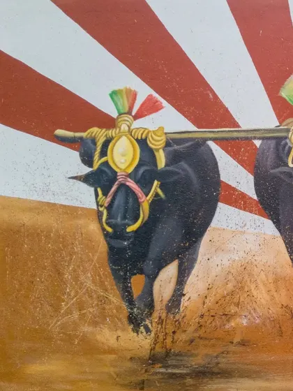 A duplicate of 51, this image provides another look at the detailed artwork of the buffaloes in the Kambala mural.