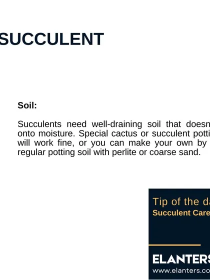 Succulent Care Part 4: Soil. Always use a well-draining cactus or succulent potting mix. You can also make your own by mixing regular soil with perlite or coarse sand.