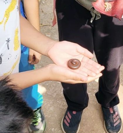 The Earth School - Nature & Community Engagement Programs Little Scientists: Hands-On Nature Experiments photo 11