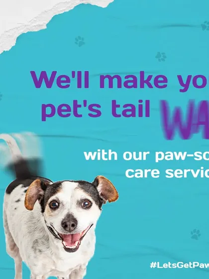A happy pet is my ultimate goal. This image captures the joy and energy of a freshly groomed dog, showing how my care services result in a wagging tail and a happy companion.