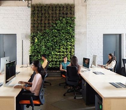 The open-plan workspace at Communique is designed for transparency and connectivity. A large green wall serves as a stunning biophilic feature, enhancing air quality and bringing the calming influence of nature indoors.