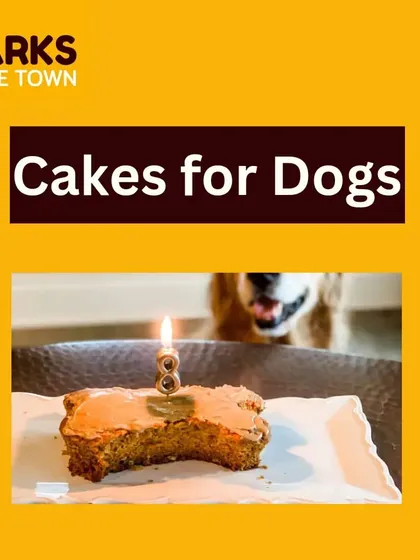 Here is a bone-shaped cake slice from a dog's eighth birthday party. I can create cakes in fun shapes and for any milestone, making sure your pet's celebration is a memorable one.