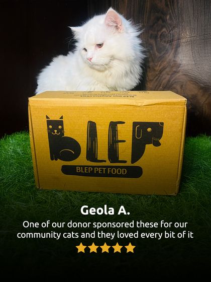 It's incredible to see our food being sponsored by donors for community cats. Knowing that even shelter animals are getting to enjoy nutritious meals is why we do this.