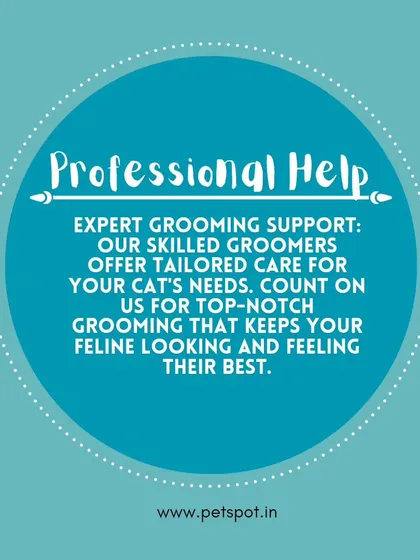 Cat Grooming Tip: Professional Help. Sometimes it's best to call in the experts. Our skilled groomers offer tailored care for your cat's specific needs, ensuring they look and feel their best.