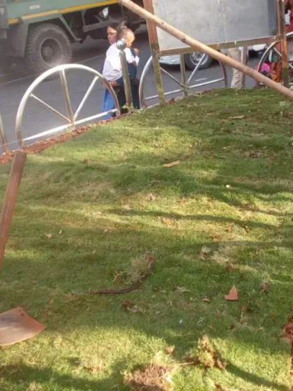 Work is always fun, especially when it’s for the community. Here we are laying fresh lawn on a BMC road island, turning a patch of public land into a pleasant green space for everyone.
