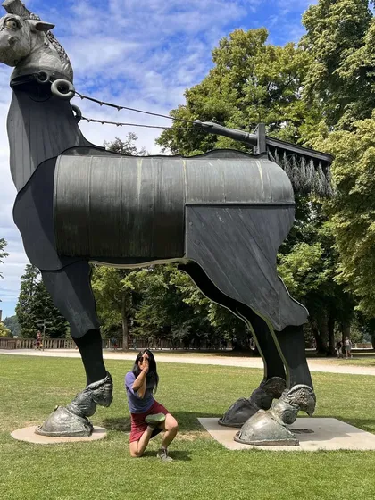 A dynamic horse pose for a dynamic day. I encourage my students to start their day with Surya Namaskar and backbends to open the mind and body for a soulful experience.