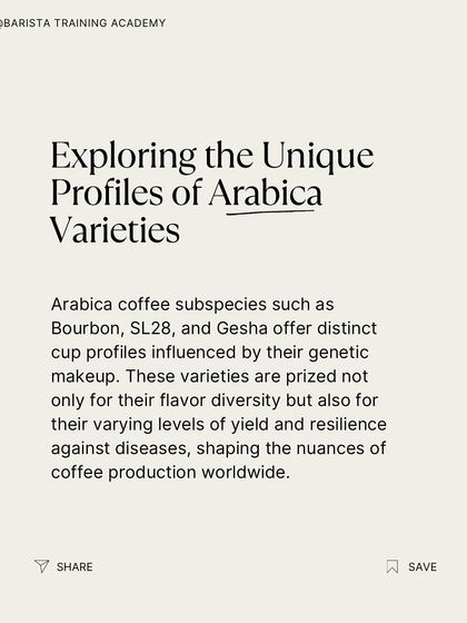We delve into the genetics of coffee, explaining how prized varieties are not only known for flavor but also for their yield and resilience to disease.