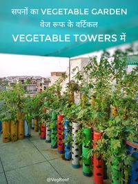 Full-Service Vertical Garden Installation (Delhi NCR)