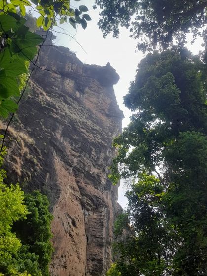 A view of the massive limestone cliffs of the Ulavi region, seen through the trees.