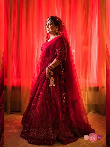 That Big Day - Wedding Photography & Videography The Bride in Her Splendor photo 33