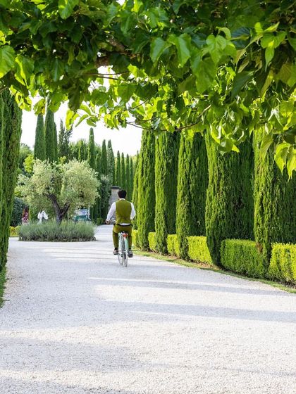 A wide, bright gravel driveway lined with tall, slender cypress trees and neat boxwood hedges. This classic European design creates a grand and elegant approach to the property.