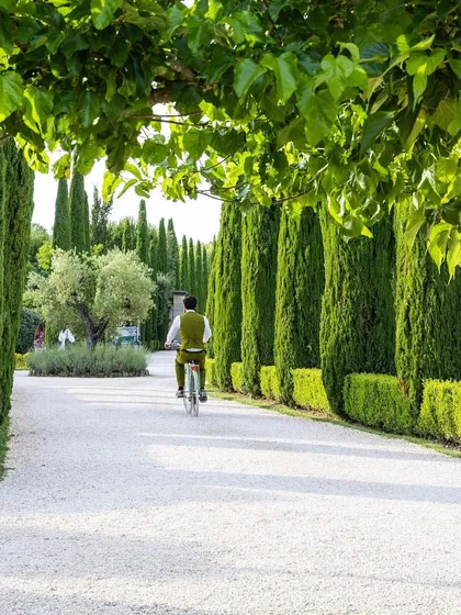 A wide, bright gravel driveway lined with tall, slender cypress trees and neat boxwood hedges. This classic European design creates a grand and elegant approach to the property.