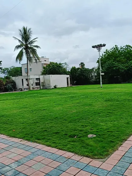 A corner of the park where the new lawn meets a paved area with paver blocks, showing a clean transition between surfaces.