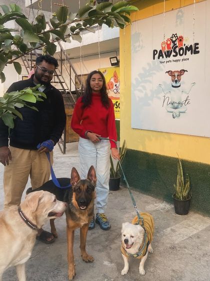 Client diaries. This family brought their three dogs for a visit, and it was a pleasure to host them.