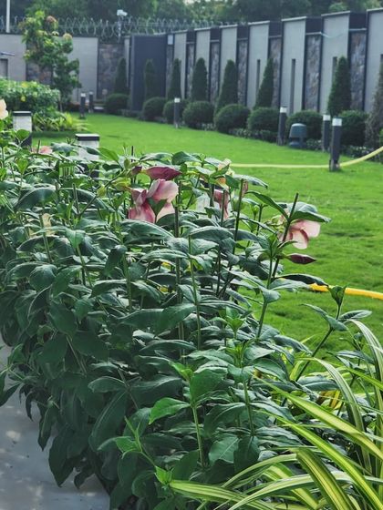 Delhi Gardner - Full-Service Landscaping Large-Scale Landscaping: Commercial & Residential Projects photo 5