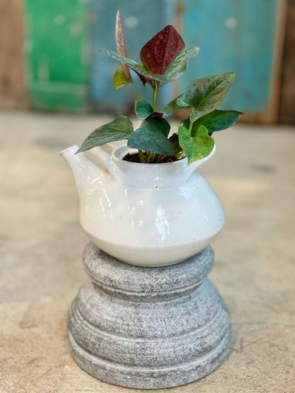 Greenhouse - Living Botanical Art & Arrangements Artisan Planters & Decor photo 12