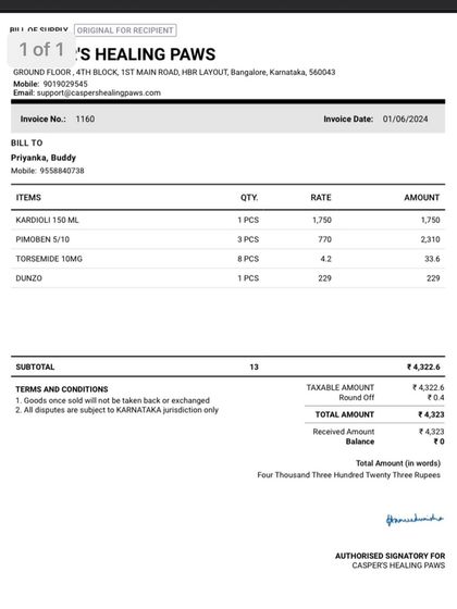 PL Paws - Animal Rescue & Rehabilitation How Your Donations Help: Our Medical Cases photo 3