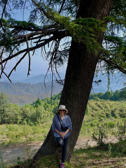 Nature Immersion & Forest Therapy photo 9