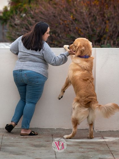 A playful moment on the rooftop between Shweta and her energetic dog, Asher. It shows that you don't need a perfect pose to capture a perfect bond.