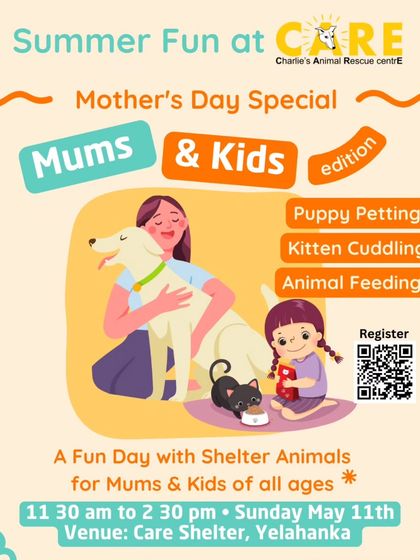 Charlie's Animal Rescue Centre - Community Outreach & Education Our Wonderful Volunteers & Visitors photo 21