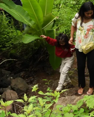 Guided Nature Walks & Treks