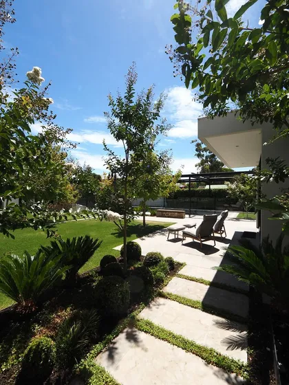 A wide view of a modern backyard with a spacious lawn and a paved patio area for lounging. The planting is kept clean and structured, with spherical shrubs and specimen trees.