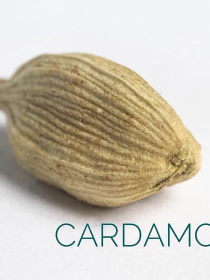 The fragrant green cardamom pod, a versatile spice used in both sweet and savory Indian preparations.