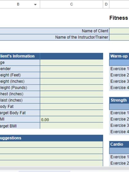 The client information section of my training program. I gather data on age, height, weight, body fat, and BMI to create a truly personalized and effective plan.
