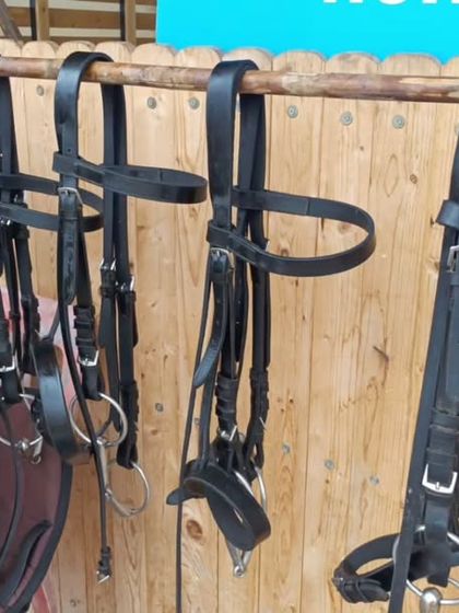 A row of leather bridles hanging in the tack room. We ensure all our equipment is kept clean, organized, and in perfect condition.