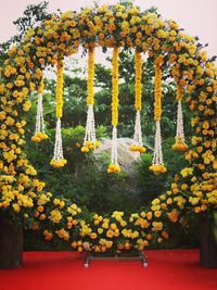 Wedding Planning & Management