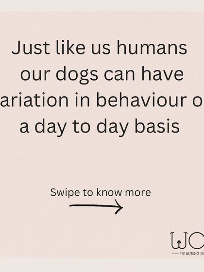 Just like us, our dogs can have variations in their behavior on a day to day basis. It's not always about training or disobedience.